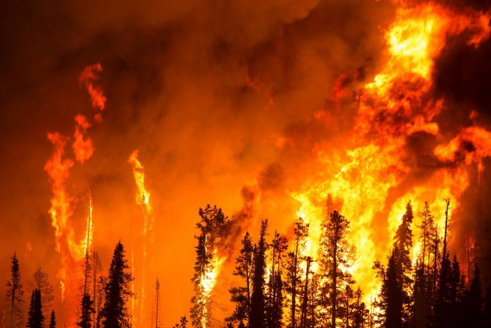 FOREST FIRE PREDICTION